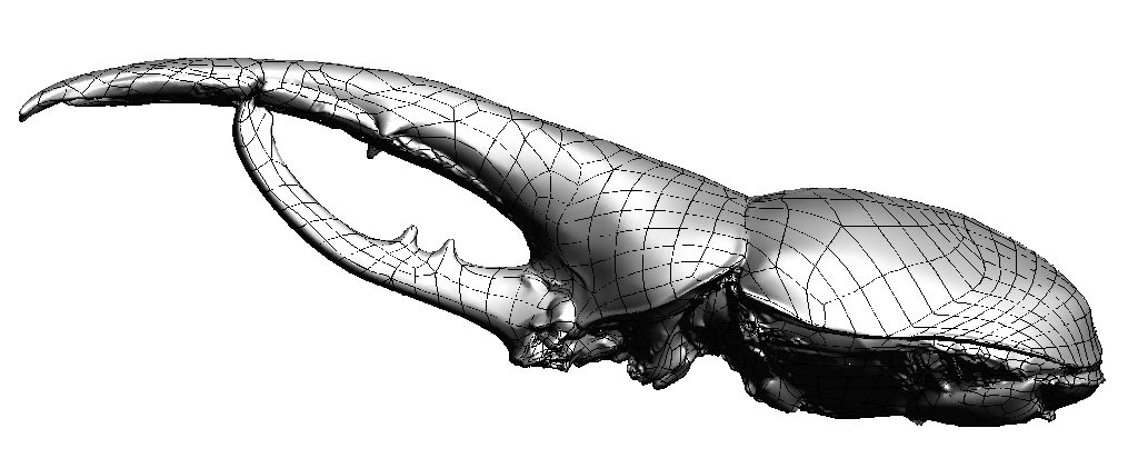 ヘラクレス３Dスキャン　再度のトライ