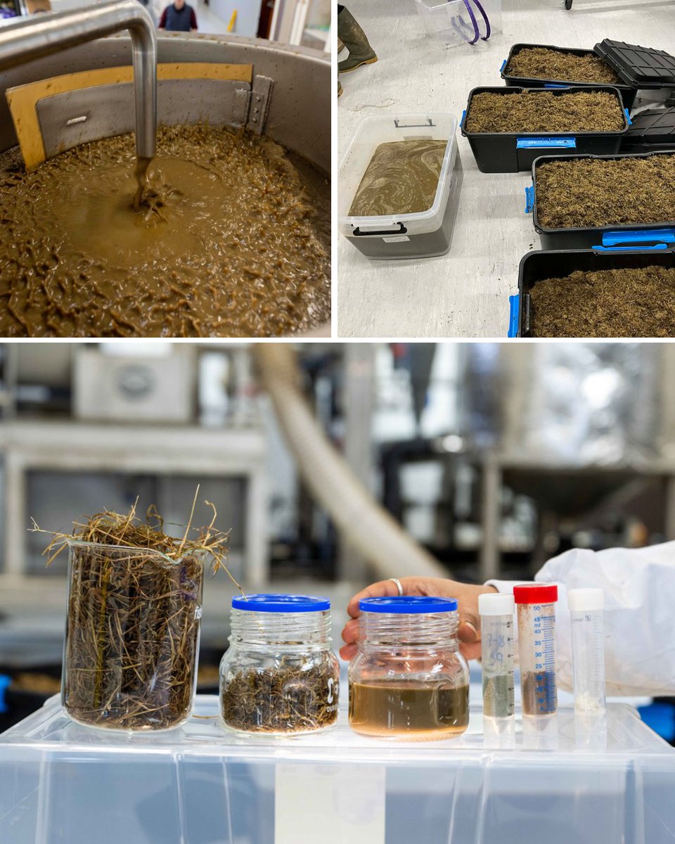 Circular Bio-based Europe Joint Undertaking tweet media