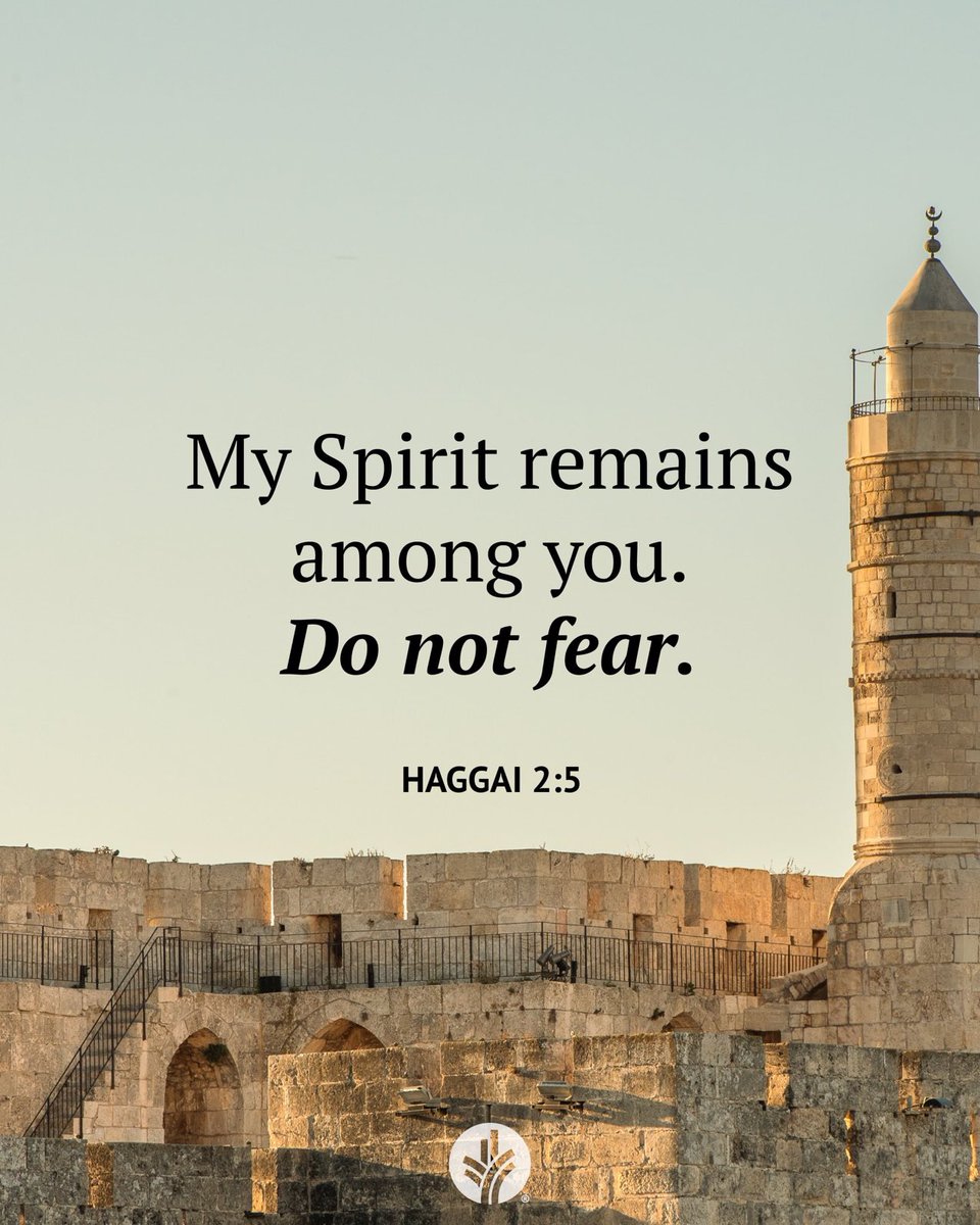 Safiya Ibn Garba (@sateig) on Twitter photo 