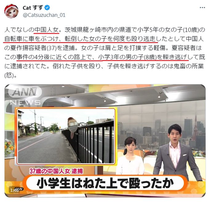 ■茨城・龍ケ崎　中国籍の女、小学生を車ではね殴打■

2016年8月24日午後4時ごろ、茨城県龍ケ崎市内の路上で、小学5年の女児（10）が自転車で走行中、乗用車にはねられ転倒。
その後、車を運転していた中国籍の女（37）が車から降り、女児を何度も殴る事件が発生した。