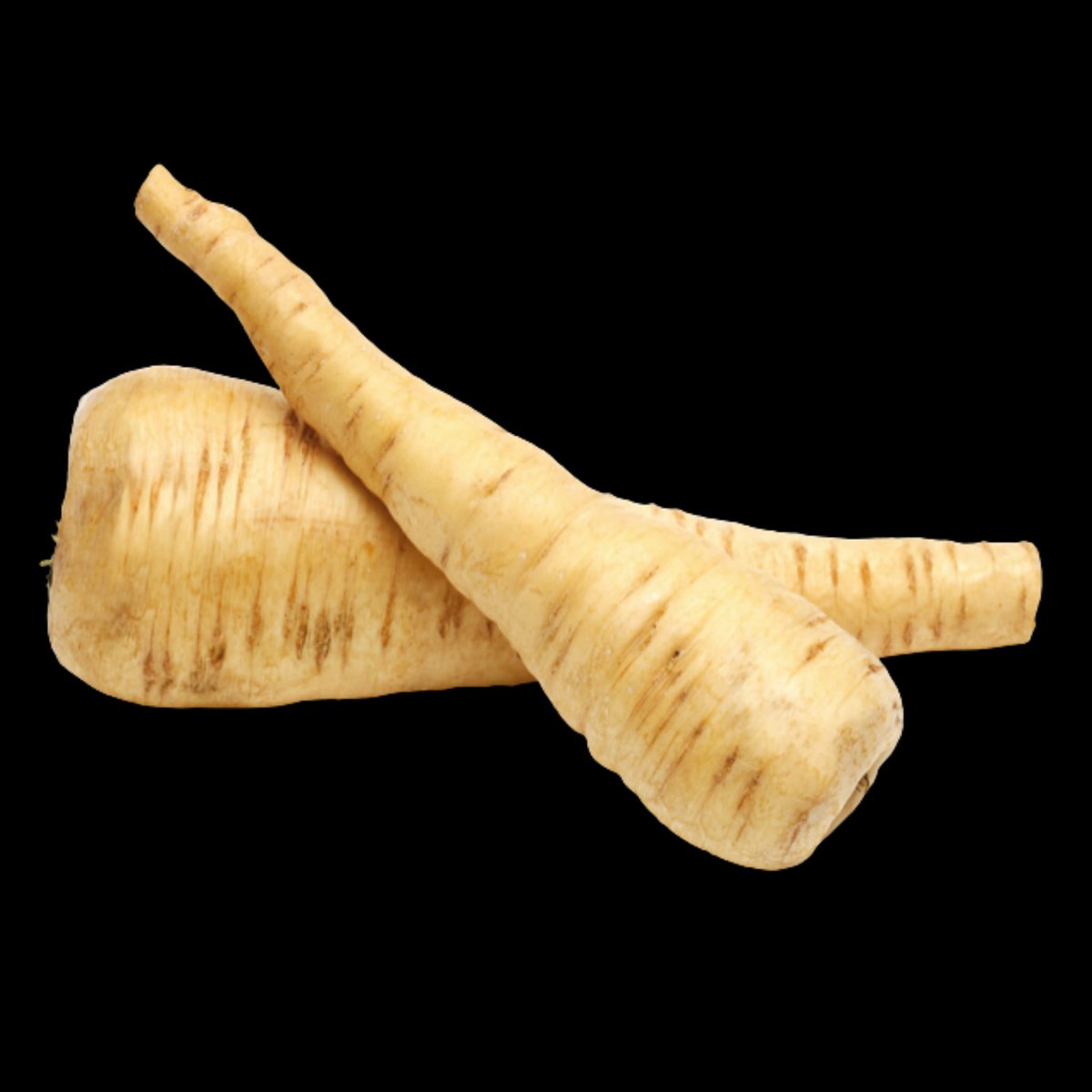 Joke Boon tweet media