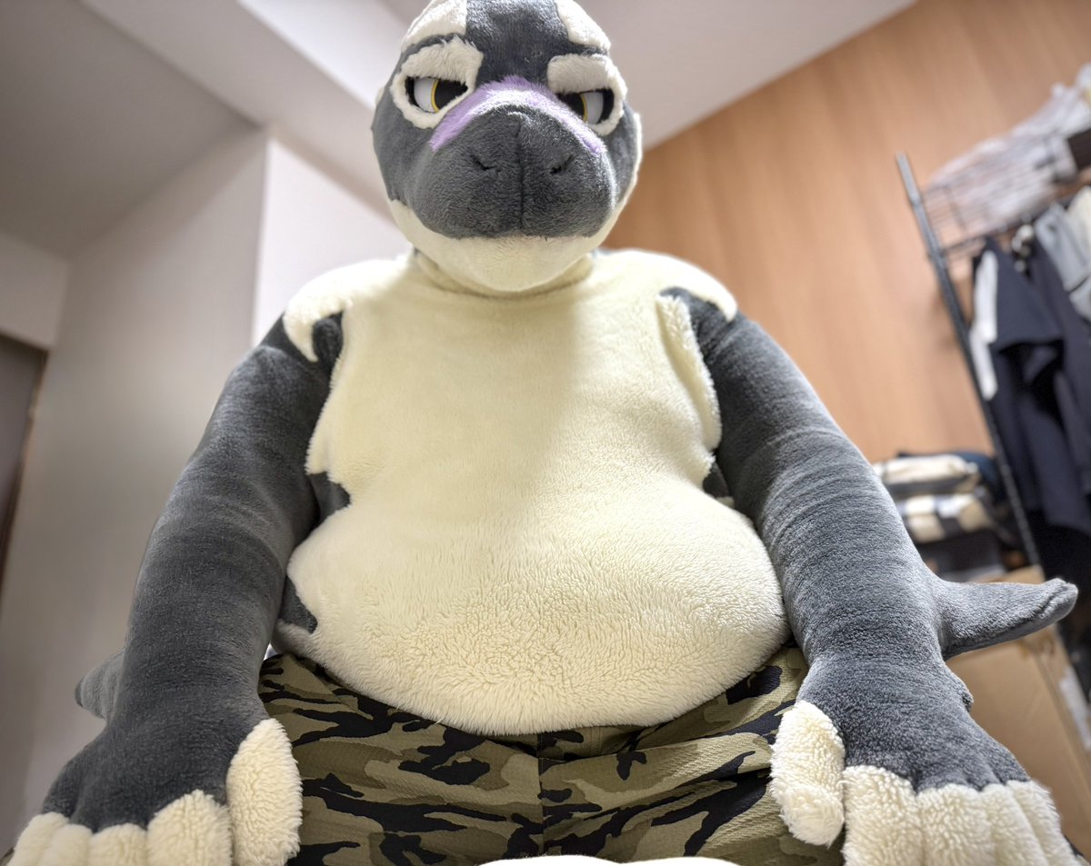 #お腹撫でたい人いいね
(:3冫 ﾉ)ﾉ