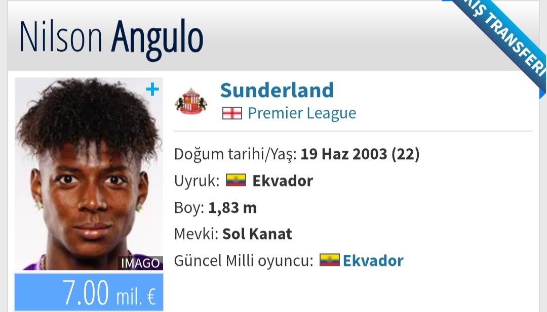 Nilson Angulo €17M ya Sunderland yaptı. Teşekkürler Beşiktaş tayfa siz anca Benzema, Sorloth yangını yapın. Beşiktaş yönetimine diyecek laf yok zaten beceriksizler
