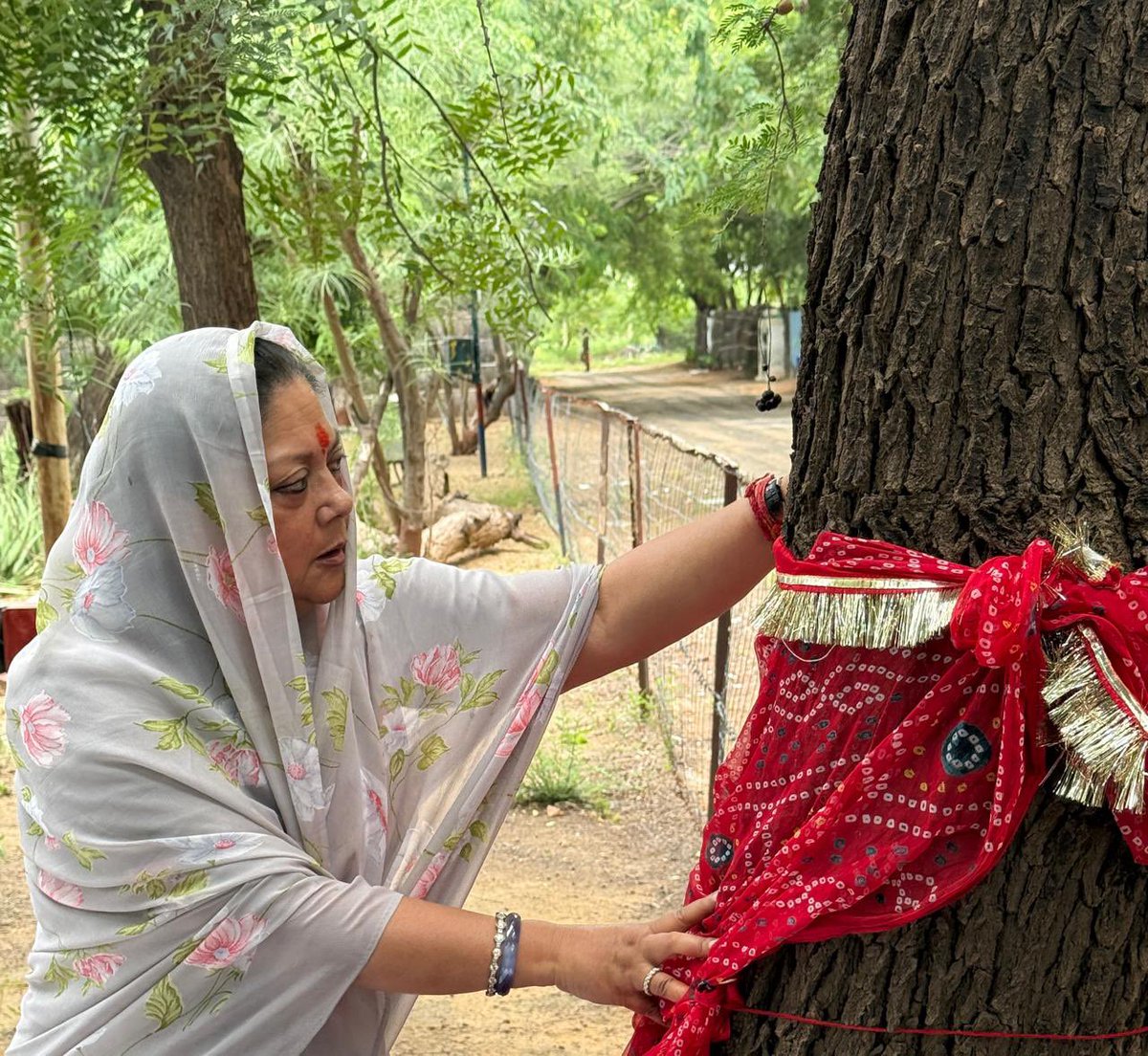 “सिर साँठे रूंख रहे तो भी सस्तो जाण"

खेजड़ी साधारण पेड़ नहीं, यह हमारे लिए देववृक्ष है। जो हमारी आस्था और भावनाओं से जुड़ा है। हमारे यहाँ खेजड़ी की पूजा की जाती हैं। मैं स्वयं भी खेजड़ी की पूजा करती हूँ। जिसकी हम पूजा करें, उस देवता का संरक्षण हमारा दायित्व है।

राजनीति से ऊपर