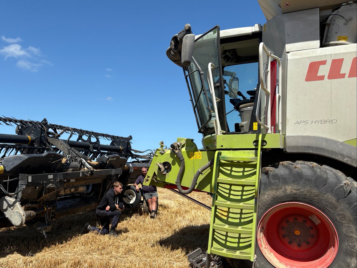 Foundation for Arable Research (NZ) tweet media