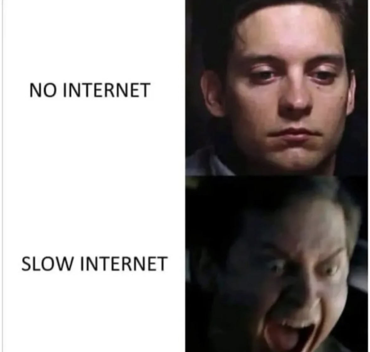 RespectfulMemes's tweet image. 