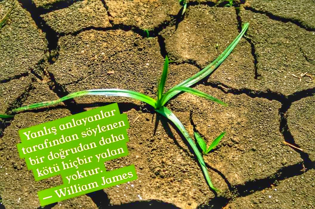 DEĞİRMEN (@degirmen01) on Twitter photo 