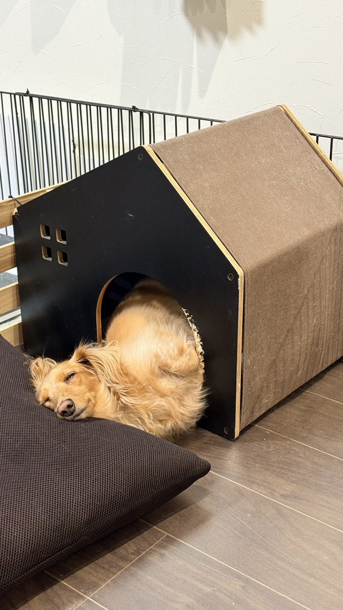 ブライアン（コ〇ック並みの頭痛) (@56nQCMe7yOP5q3u) / Posts / X