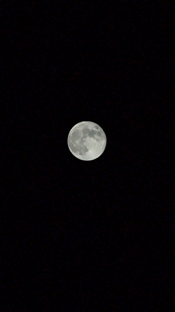 kota_yabu_hsj's tweet photo. 昨日の満月！🌕

スマホでここまで綺麗に撮れたオレはジーニアスなのかもしれない！（15分くらいかかった） https://t.co/skG1Bgll1T