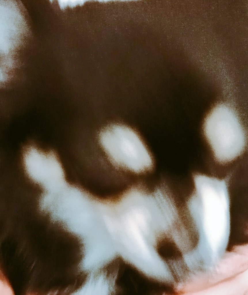 なんばhatchいきますよ今から