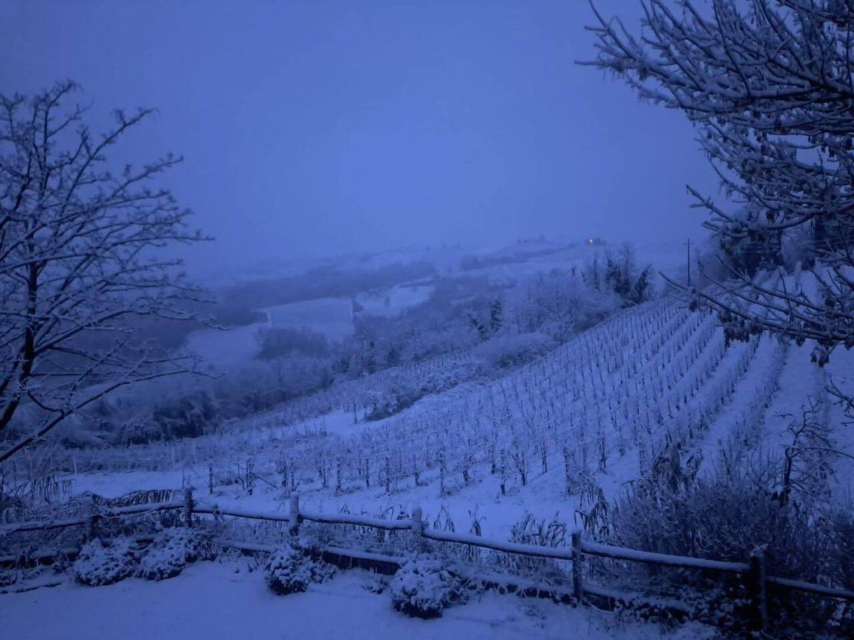PCProvAL's tweet photo. #neve a #Ricaldone alle ore 7:20 di oggi 3 Febbraio 2026
Foto: RdV Marco Grenna https://t.co/04P4i61pdG https://t.co/HJDeBCeC7H