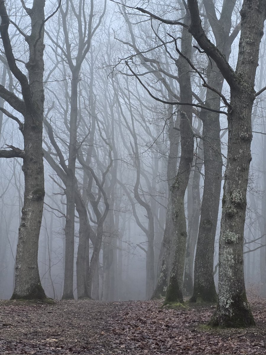 Enna Siala tweet media