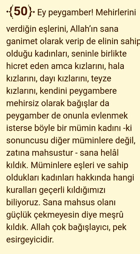 Kurdun Gölgesi tweet media