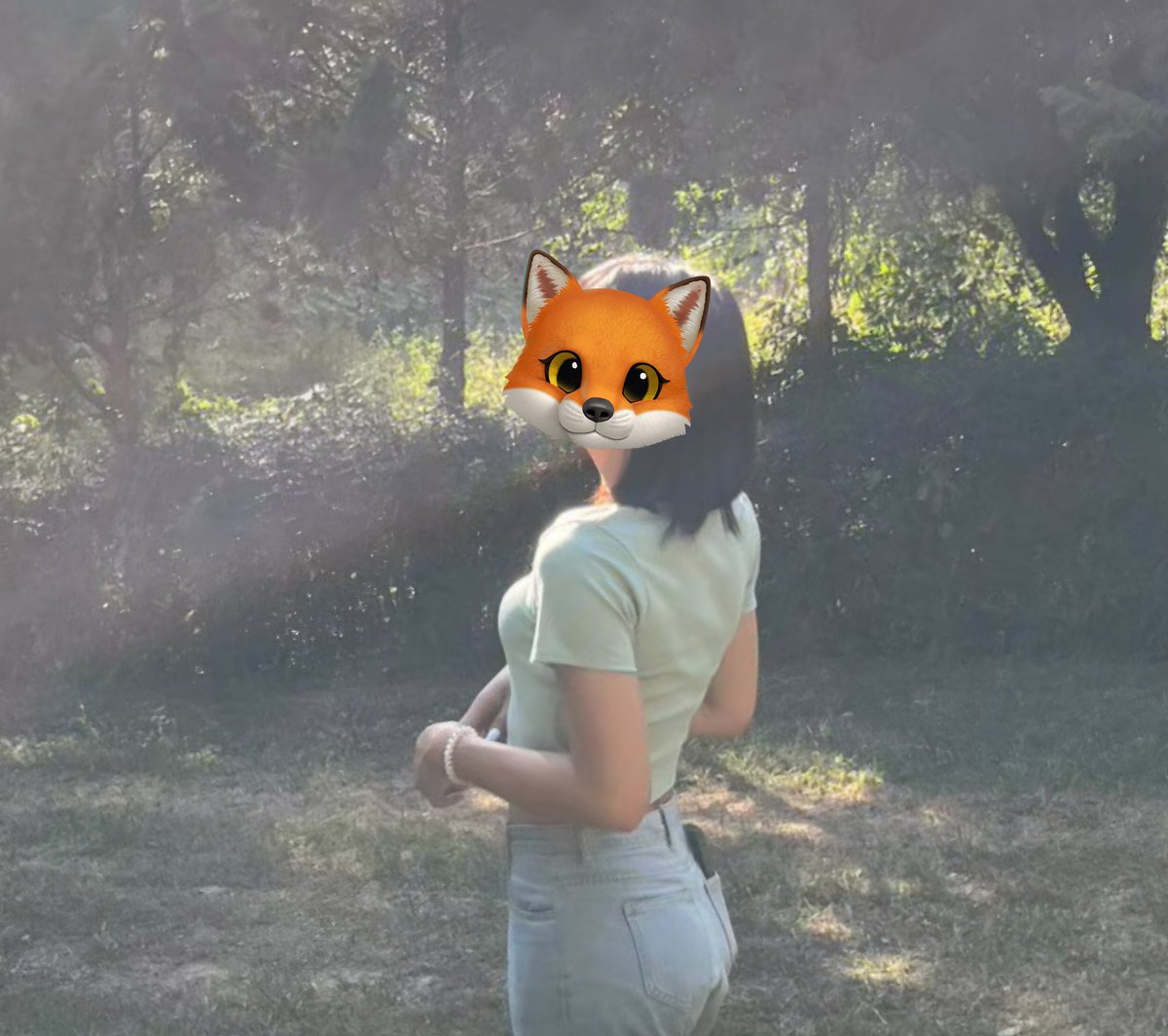 𝑷𝒓𝒊𝒎𝒓𝒐𝒔𝒆. tweet media