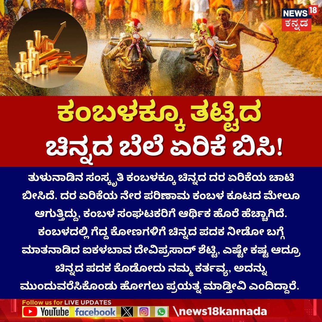News18Kannada's tweet image. Gold Price Hike Increases Financial Burden on Kambala Organisers | ಕಂಬಳಕ್ಕೂ ತಟ್ಟಿದ ಚಿನ್ನದ ಬೆಲೆ ಏರಿಕೆ ಬಿಸಿ! 
#goldpricehike #kambala #tulunadu #tradition #News18Kannada