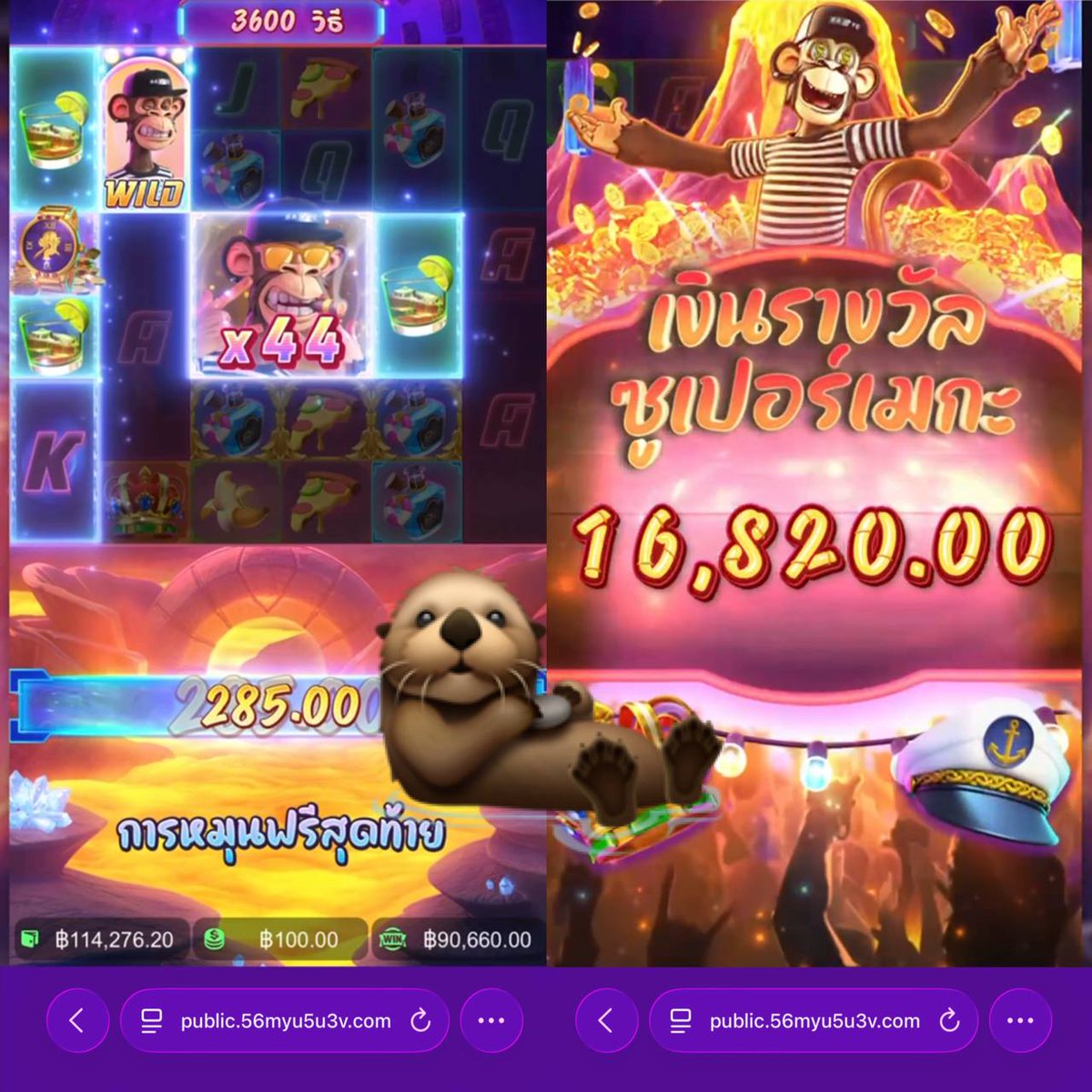 PKhkhy39738's tweet image. โหด โหดมากกกก ตอนแรกพี่ไม่เชื่อ ฟอลบอกให้ลองไปลิง ขออภัยที่หลบหลู่ครับพี่ลิง 😂 เบท 100 พี่ให้มา 104,120 ขาโหดสุดๆ คูณไป 48 ปังไม่เผื่อใคร

เเจกค่าขนมสุ่มเเจก🧧 300/6  กติกา ฟลว+รี+เมนชั่น

พิกัด: allwaysbet.com/register/allwa…

สนใจพิกกัดพี่อันอื่นพี่ปักหมุดไว้ให้เเล้วนะครับน้องๆๆ