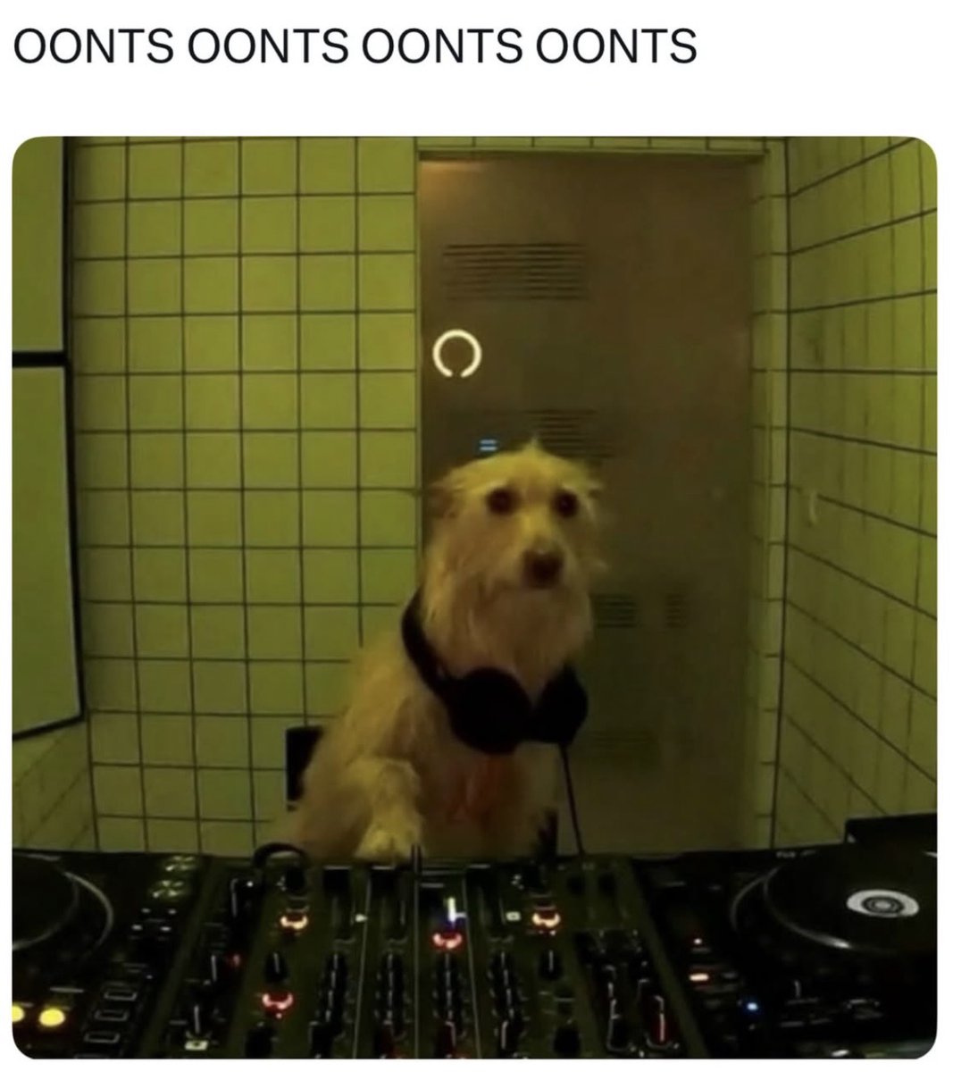 Respectful Memes (@respectfulmemes) on Twitter photo 