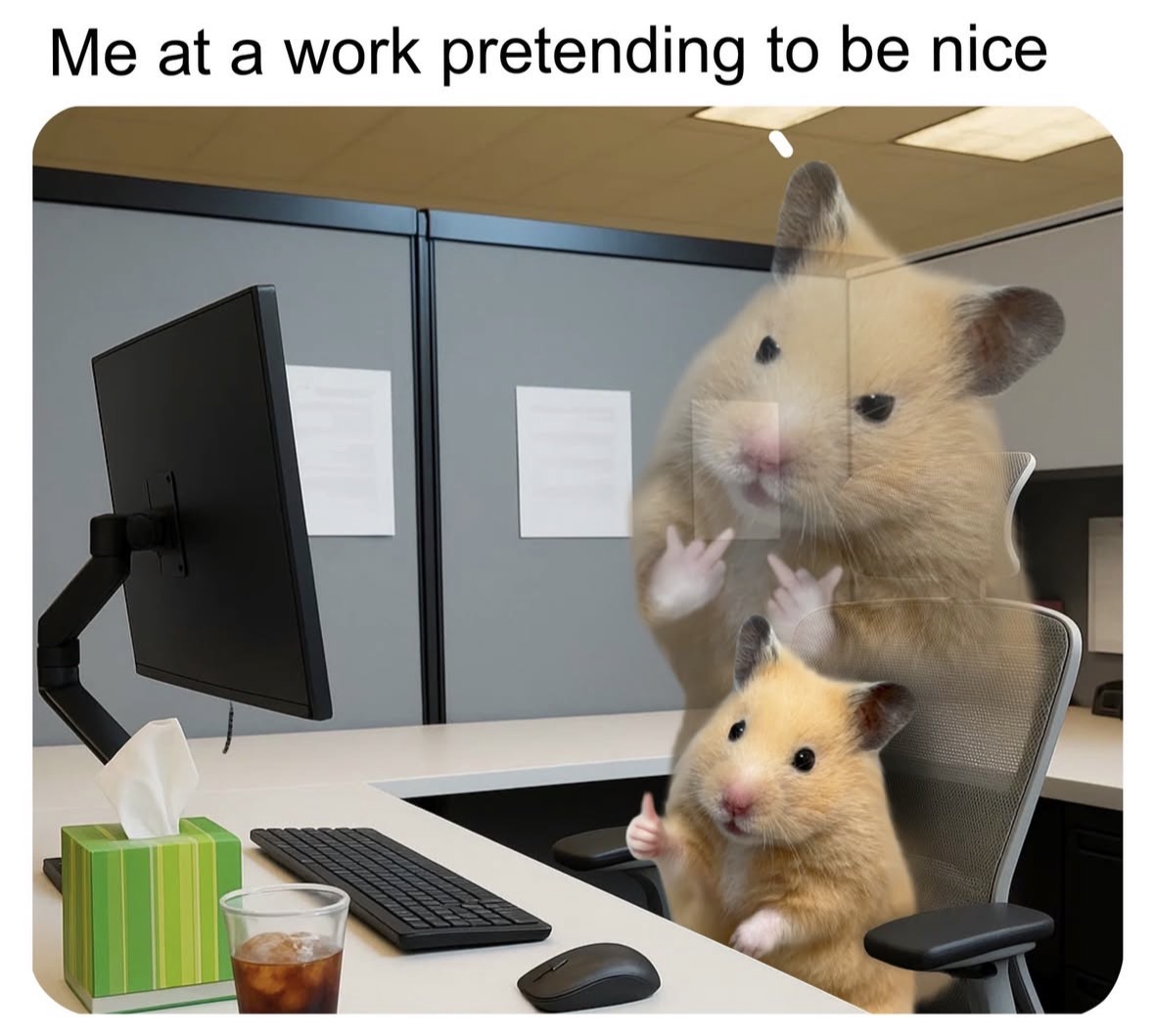 Respectful Memes (@respectfulmemes) on Twitter photo 