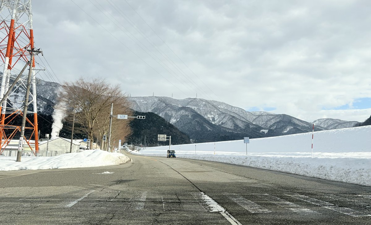 安寧の揺籠 tweet media