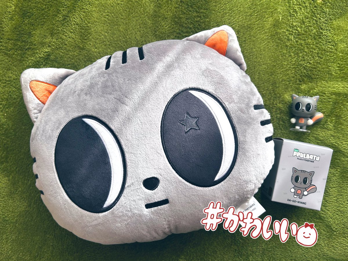 憧れのダゴニャングッズが届きました 子供たちにはやく見せたい