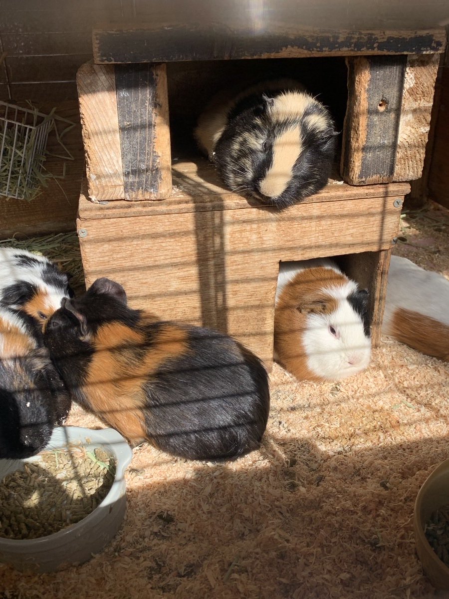 なつこ :p🧡🐵🇫🇷🐎🟡四国一周制覇 (@7a2co) / Posts / X