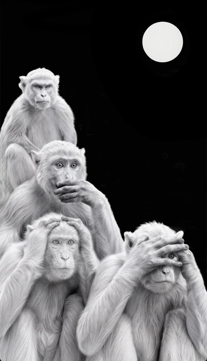 원숭이 네마리랑
음앤양 ㅇㅇ 혁빵아 나 알아둘었긔