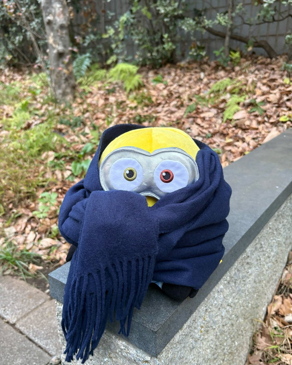 ミニオン・ファンクラブ (@minion_fanclub) / Posts / X