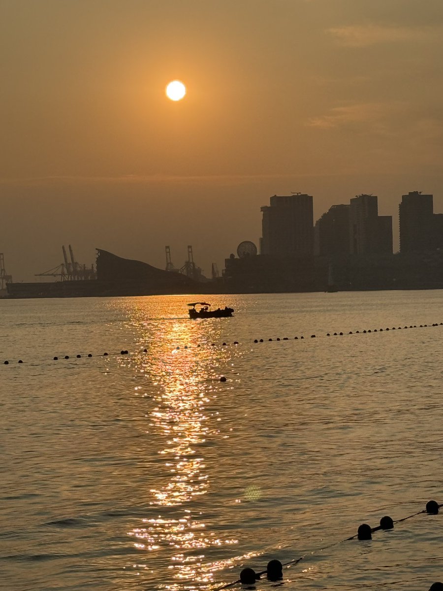 人都有自己花期

交易也是

管住手

少亏

✌️