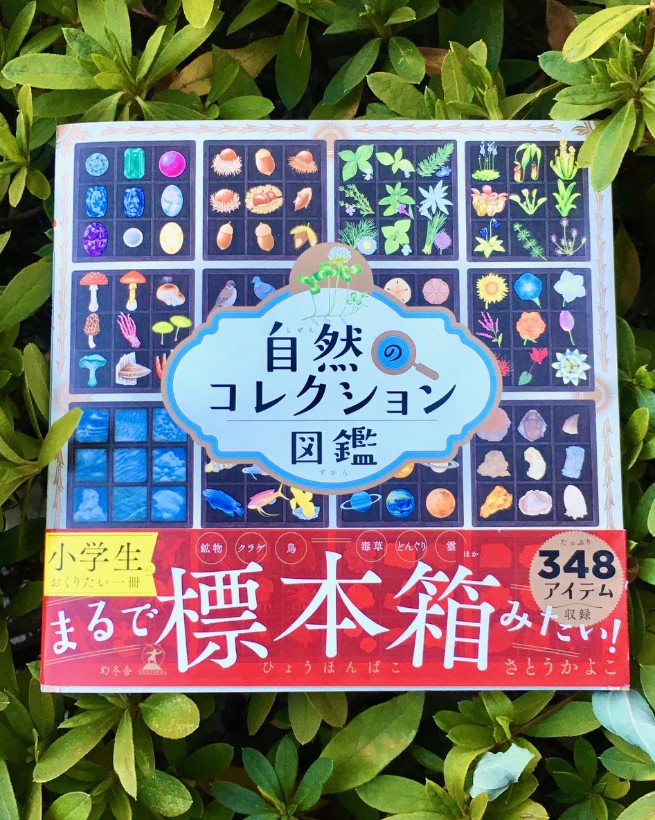 gentosha_edu's tweet photo. 新発売 「自然のコレクション図鑑」🌳

鉱物や生きもの、植物、天体などについて小学生向けにまとめた図鑑です。

テーマごとに、おもしろい特徴があるものを９種類あつめ、標本箱風にレイアウトしました。

たっぷり３６テーマを収録。
自然への興味・関心を育む１冊です☺

著／さとうかよこ https://t.co/LM0NughgaB