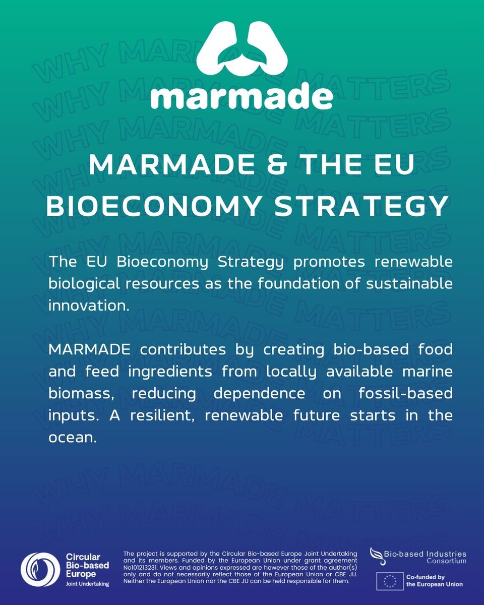 🇪🇺 Why MARMADE Matters🌊 Supporting the EU Bioeconomy Strategy by turning marine biomass into bio-based food &amp; feed ingredients 🌱

Less fossil dependence. A stronger blue bioeconomy 
💙🔗 tinyurl.com/42vrpa4z#MARMA… 

#CBEJU #Bioeconomy #BlueEconomy #Sustainability