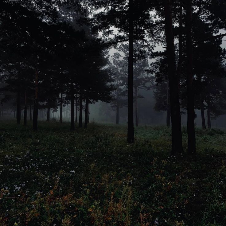 elemmiressoul's tweet image. gloom.