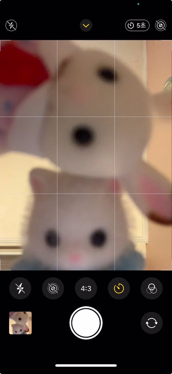 욘삼이 (@bluv_yo) on Twitter photo 