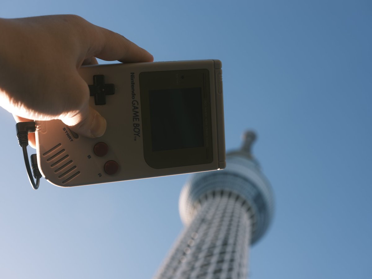 せんぱちる tweet media