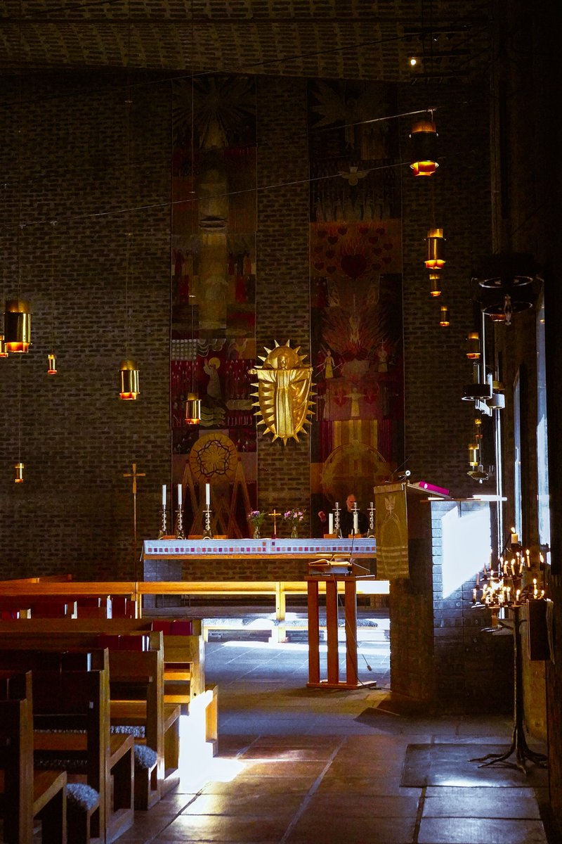 cy / sal sun 🐚 tweet media