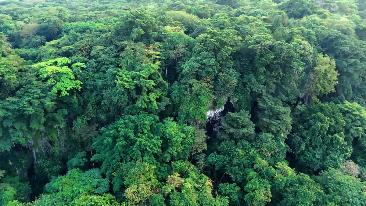 IndiaAesthetica's tweet image. Chowra Island , Andaman and Nicobar  🔵🏘️🟢🇮🇳