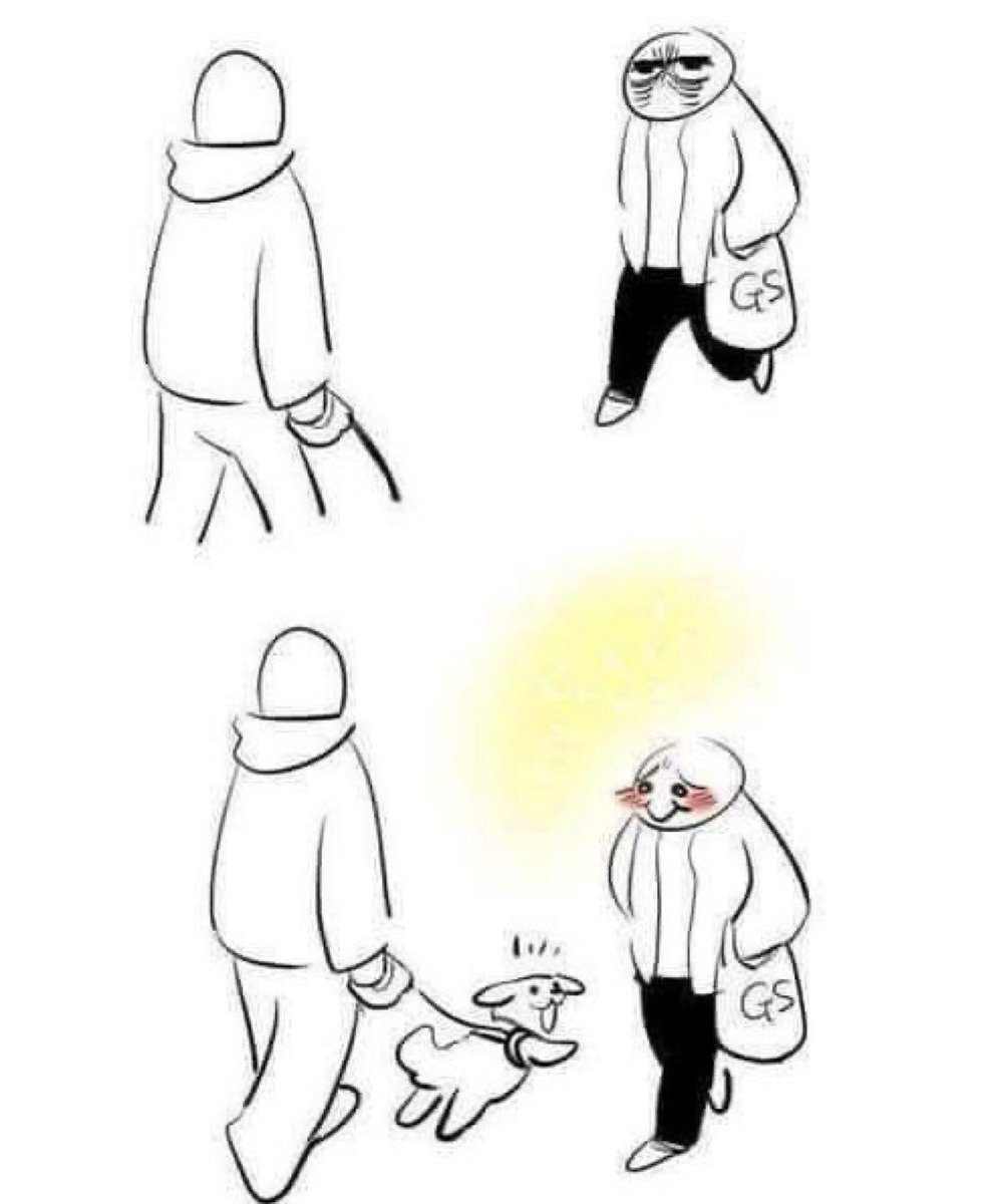 everything dogs 🐶 (@everythingdogss) on Twitter photo 