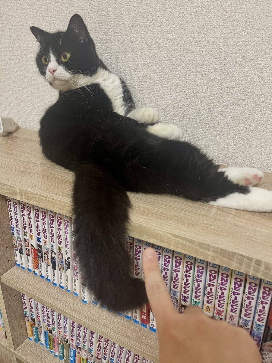 たろう (@taro20216) / Posts / X