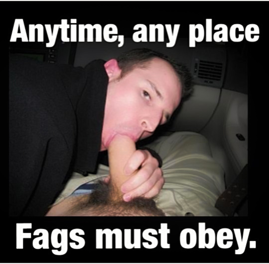 Gay Sub University🍆 tweet media