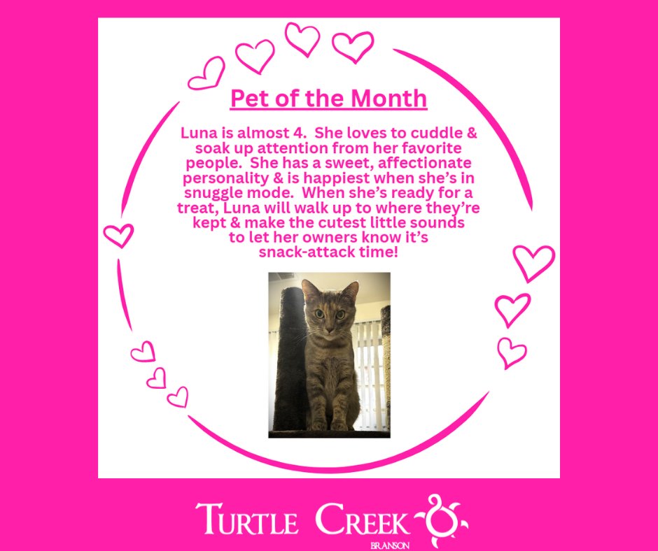 Turtle Creek Branson tweet media