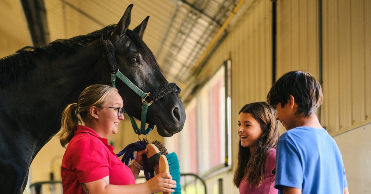 Musée de l’agriculture et de l’alimentation 🇨🇦 tweet media