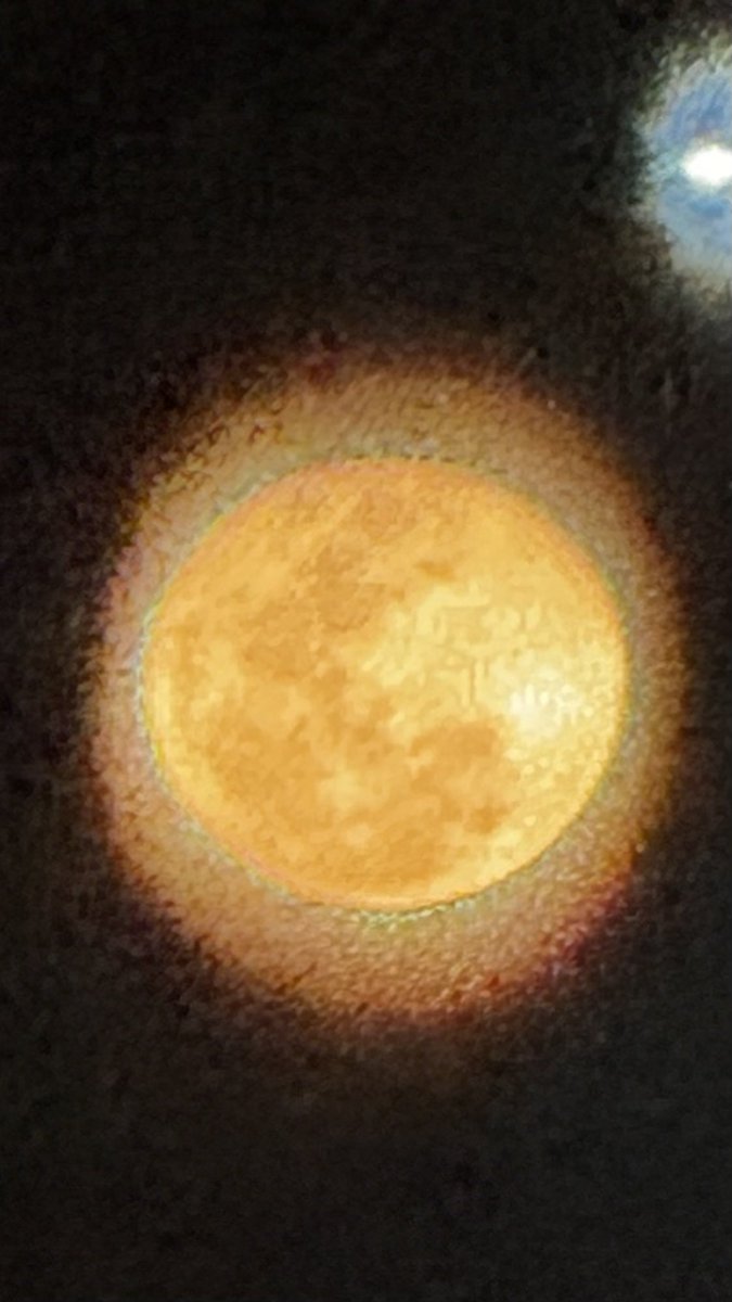 Cedric Castillo tweet media