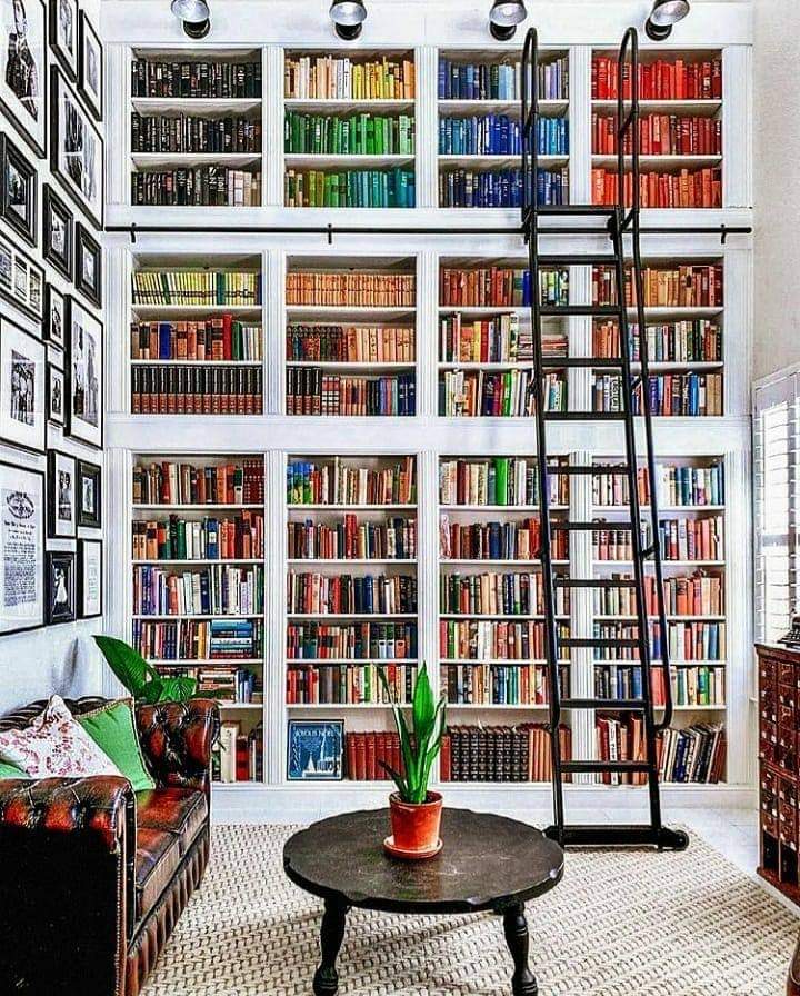 Pergament_F's tweet photo. 5 steps to becoming a happier person
1. Read
2. Read
3. Read
4. Read
5. Read. https://t.co/XcQvBTt9VC