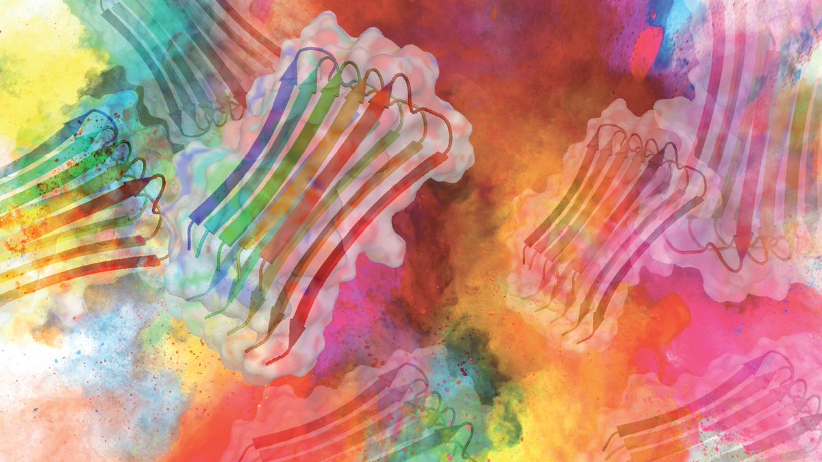 The Ophthalmologist tweet media