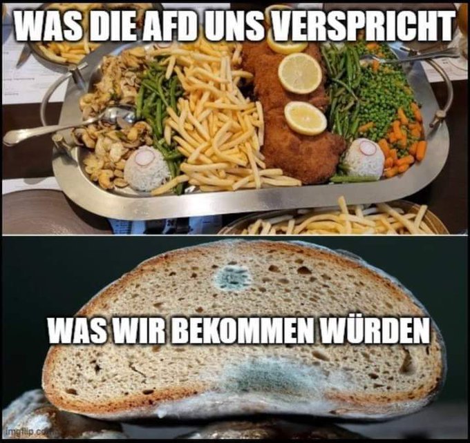 Wahlversprechen der AfD
#UmsVereckennichtwürdeichAfDwählen