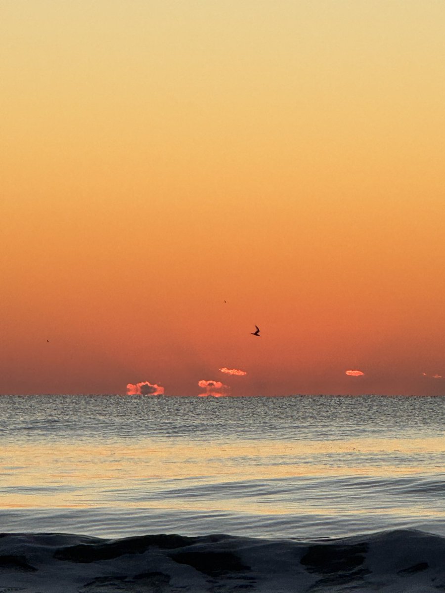 RoamingNC's tweet image. dreams in color