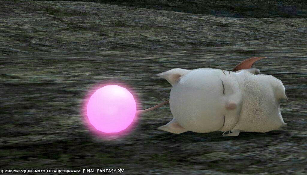 エオルゼアの某姉貴 tweet media