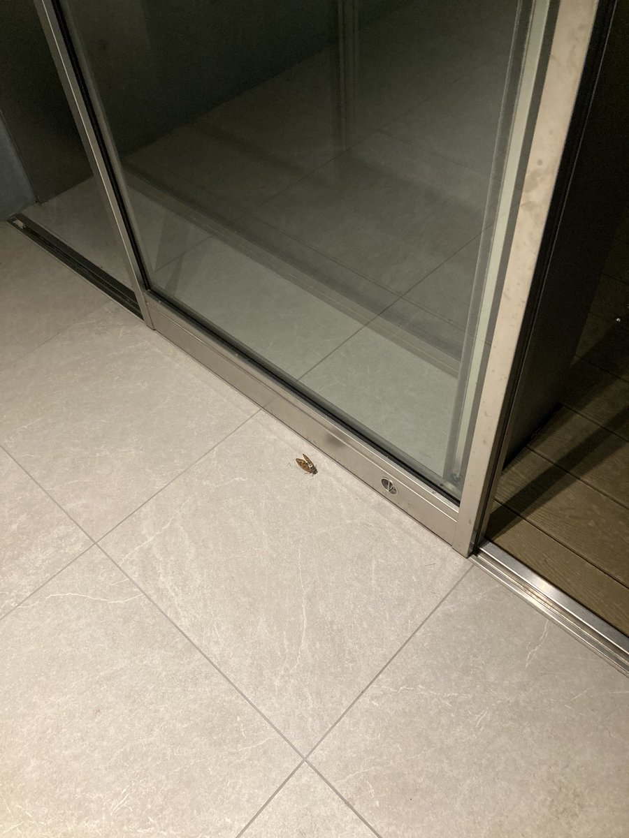 raito__418's tweet image. は？

（2月初旬、気温3℃）