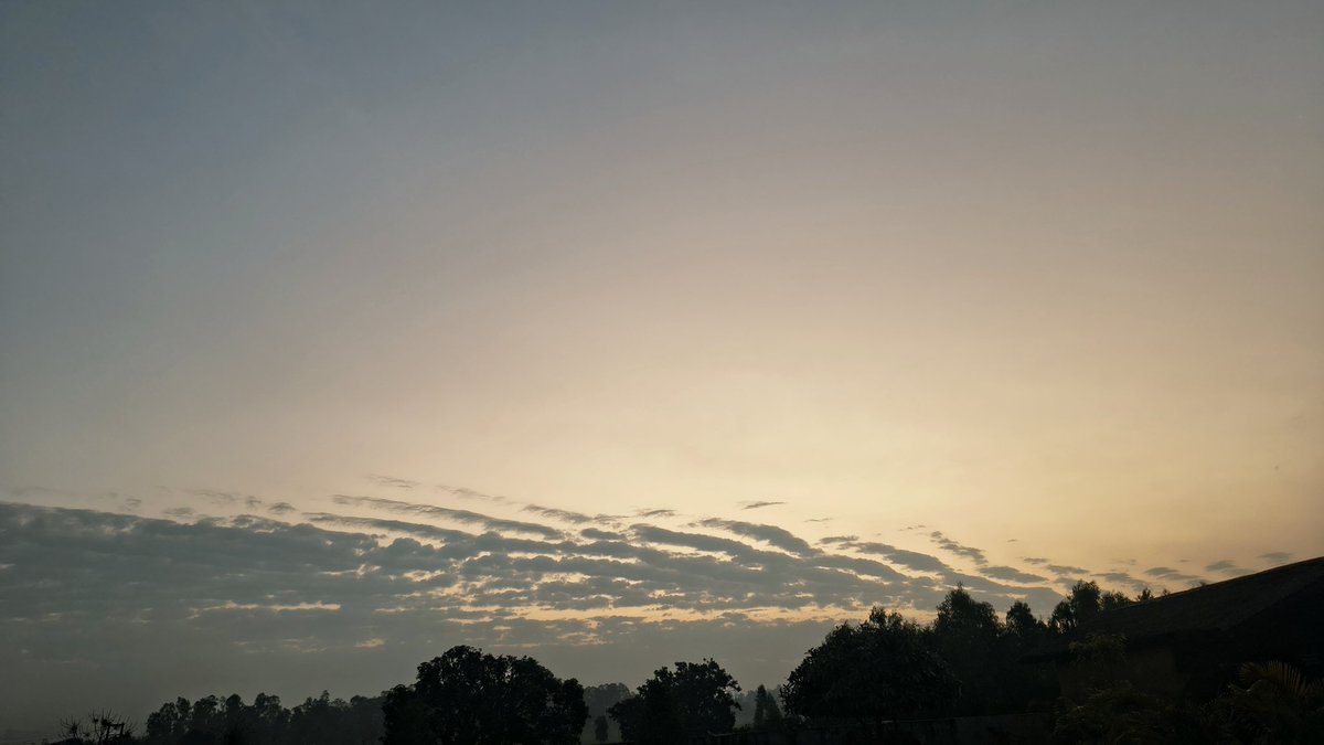 You will find flow again when you stop optimizing and start exploring.