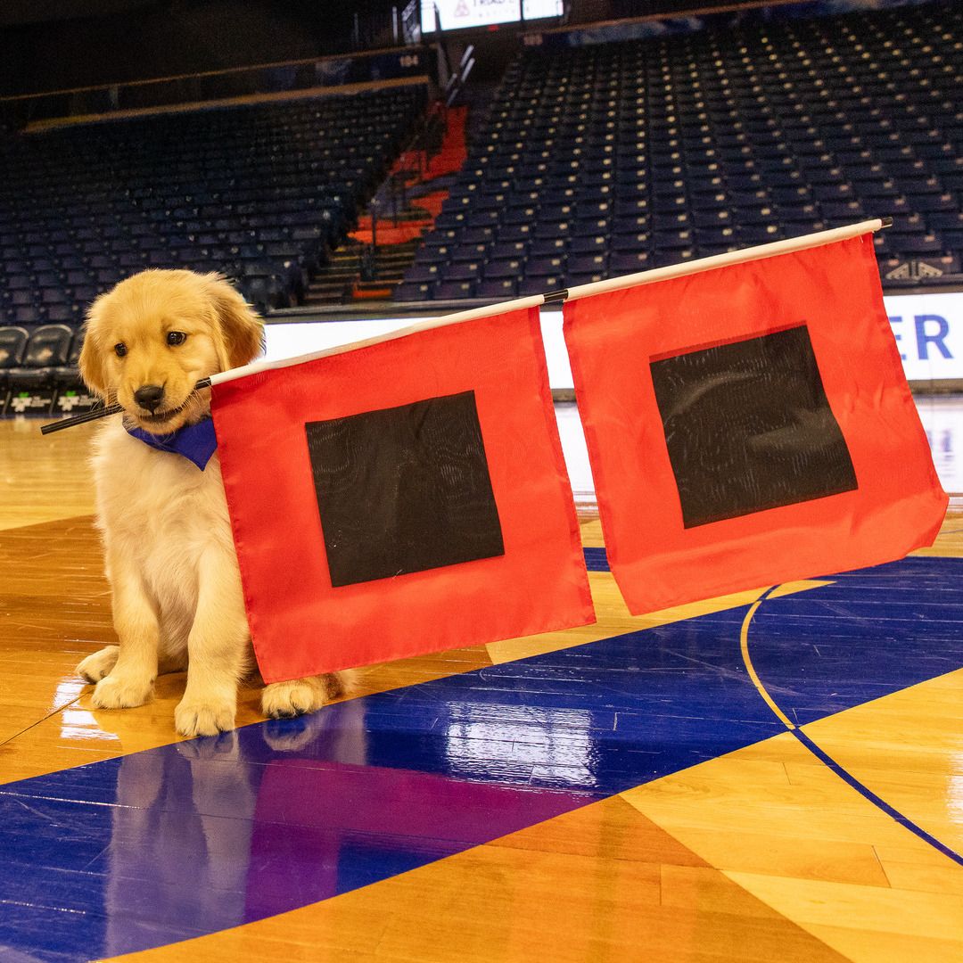 The University of Tulsa tweet media