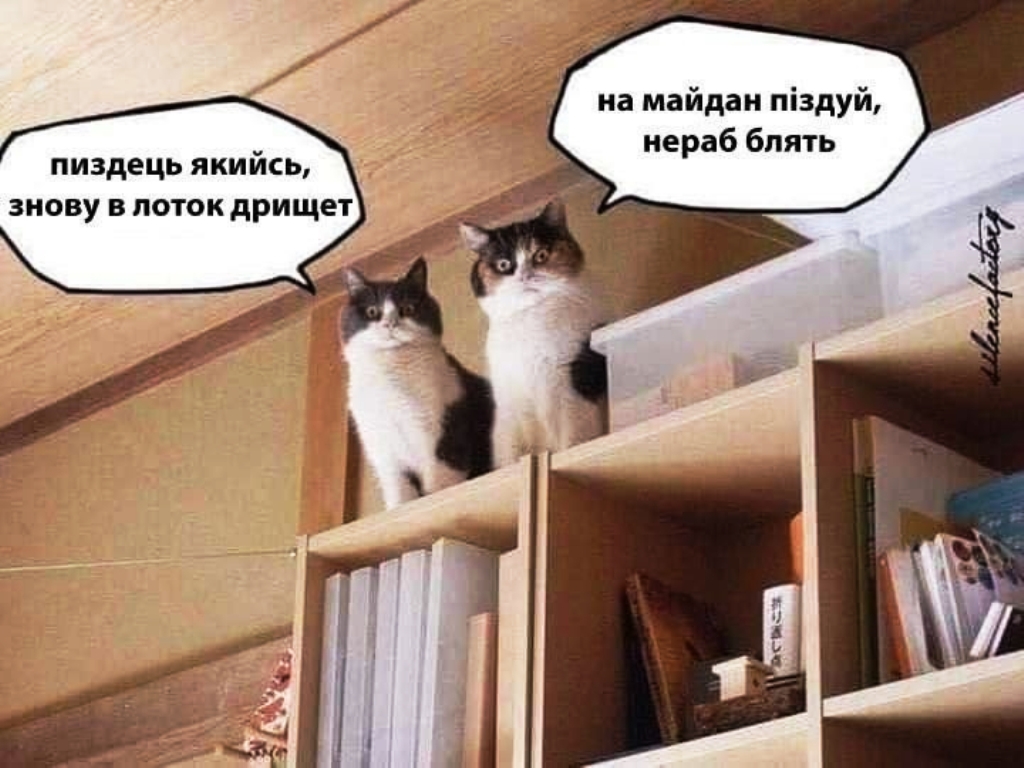 Коротко об обстановке в квартирах в Куеве😂😎🤠